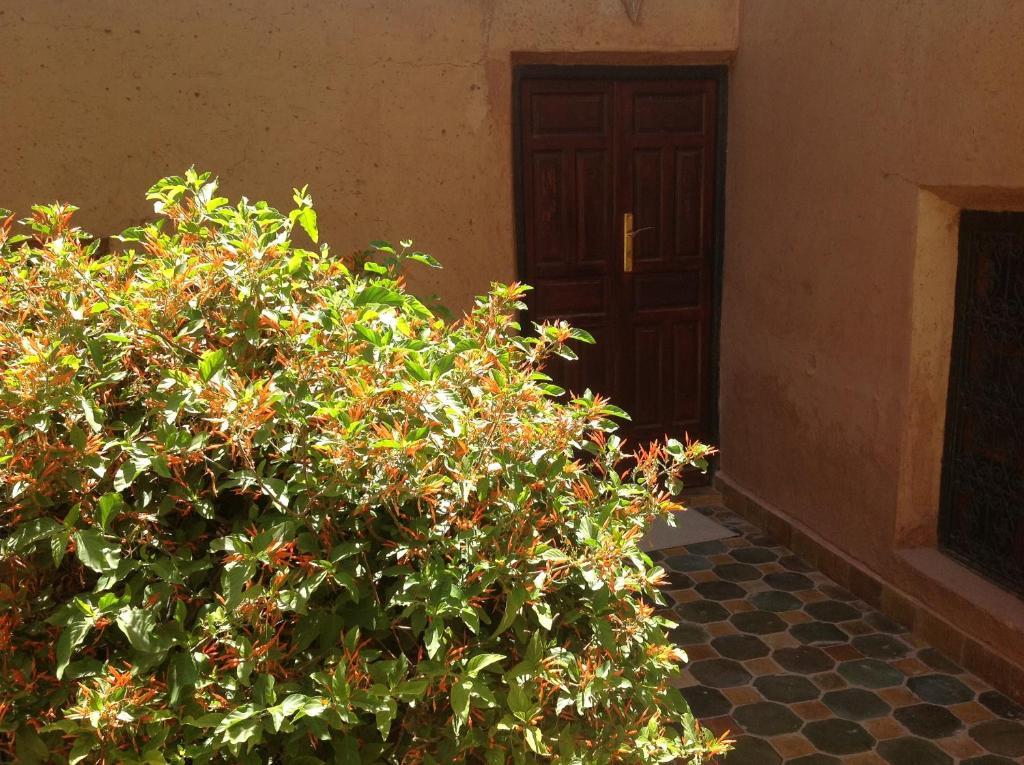 Riad Timadrouine Timatraouine 部屋 写真