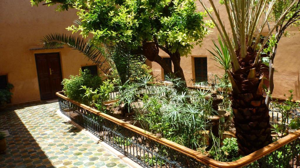 Riad Timadrouine Timatraouine エクステリア 写真