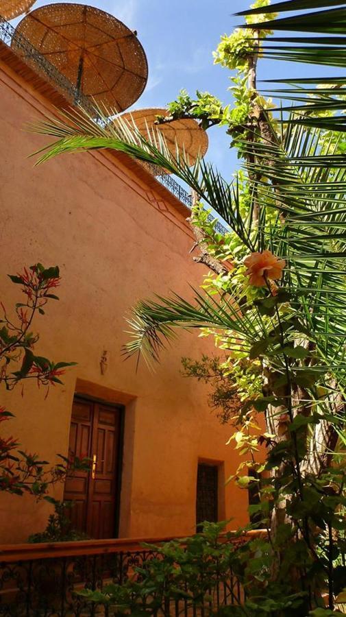 Riad Timadrouine Timatraouine エクステリア 写真